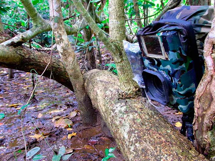 自動撮影カメラ