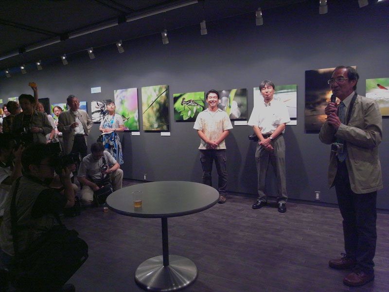 オープニングパーティ オープニングパーティ