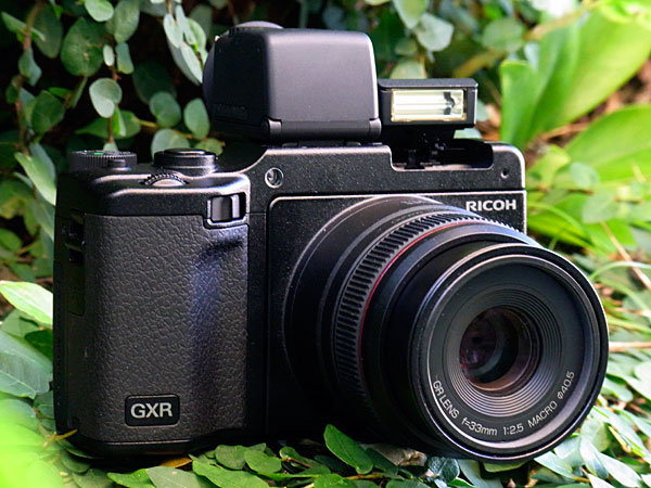 RICOH GXR 33/2.5 Macro