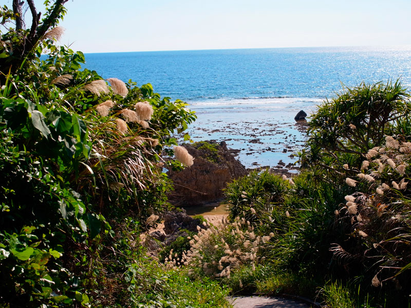 摩文仁の海岸(23日撮影）