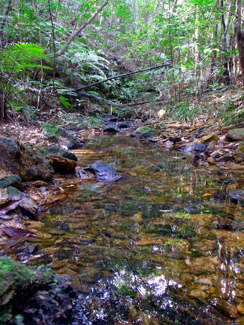 渓流環境2