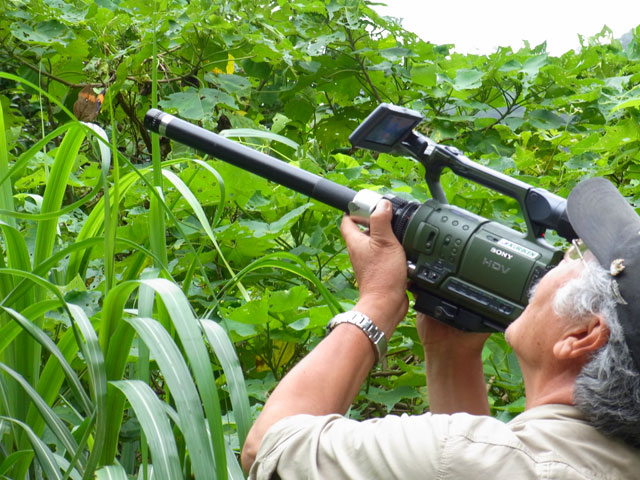 コノハチョウ撮影中の栗林慧さん