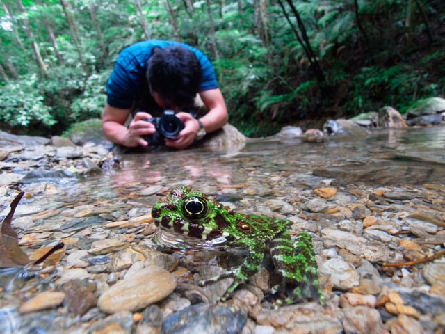 イシカワガエルと尾園暁さん
