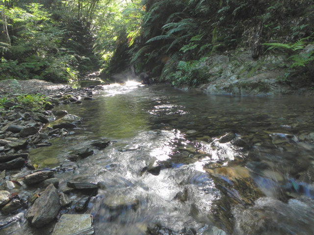 渓流環境