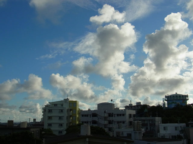 ポートレイトモード