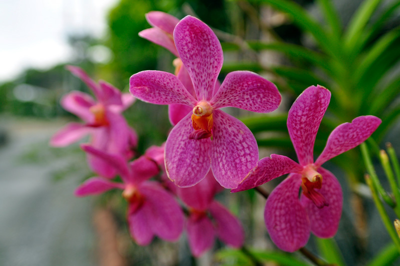 被写界深度テスト