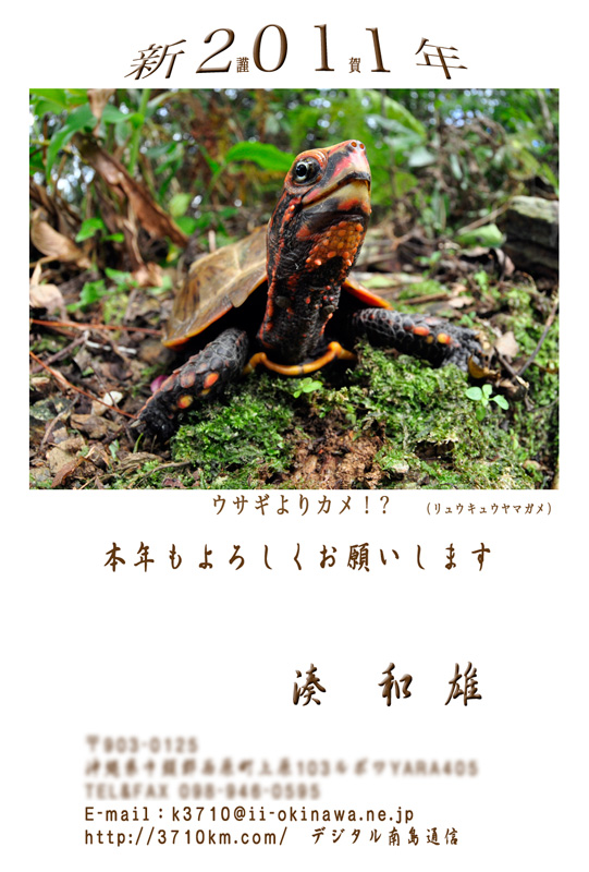 2011年の年賀状