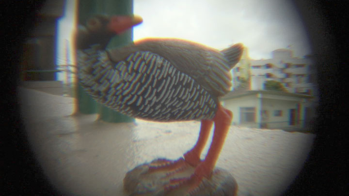 虫の眼レンズテスト