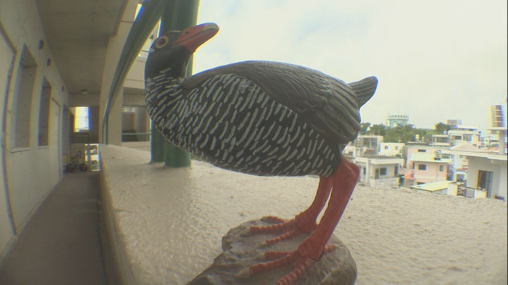 虫の眼レンズテスト