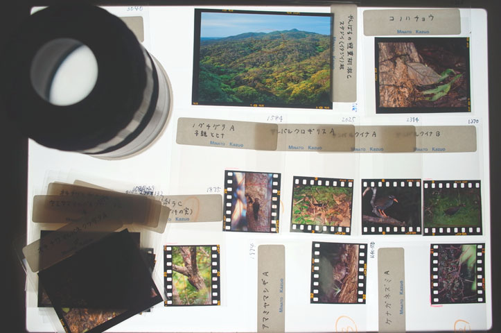 カラーポジセレクト作業