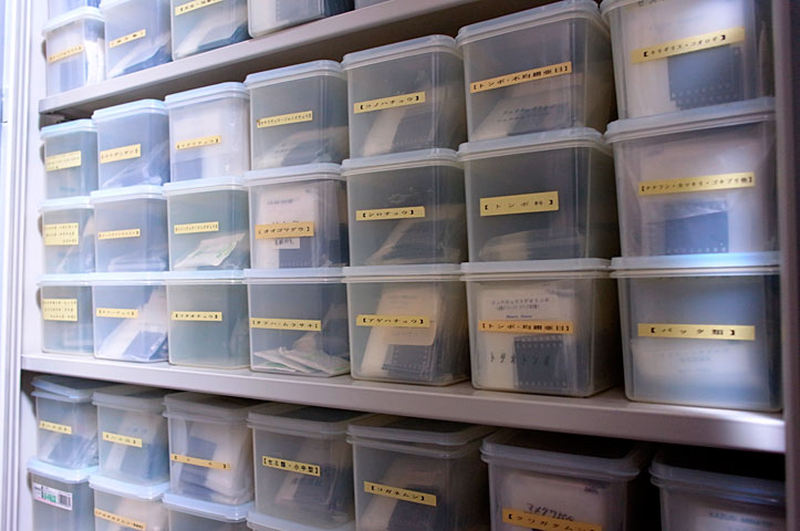 カラーポジ保管状況