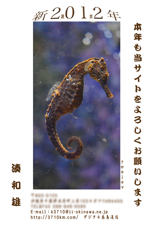 2012年・年賀状