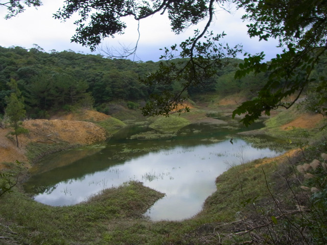 ヤンバルクイナ生息環境