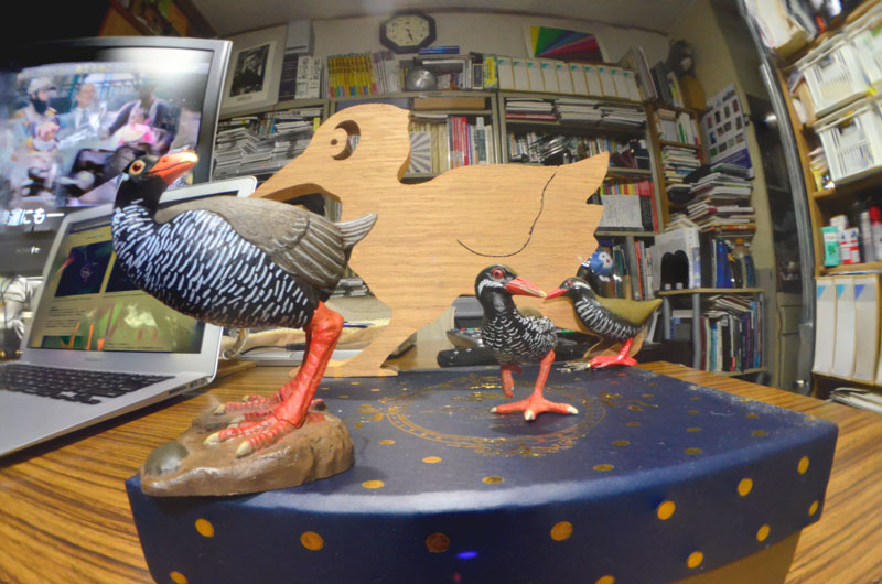 深度合成テスト撮影