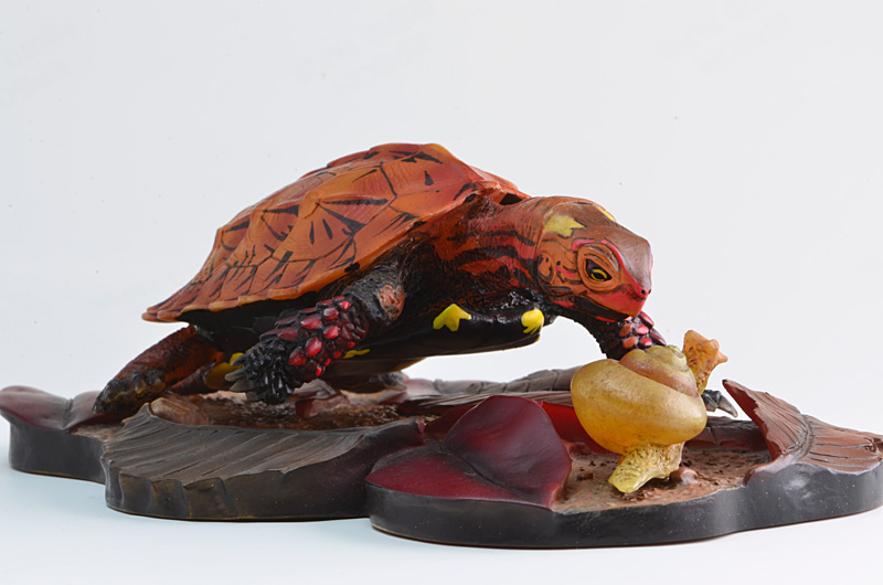 リュウキュウヤマガメ・フィギュア（比較カット）