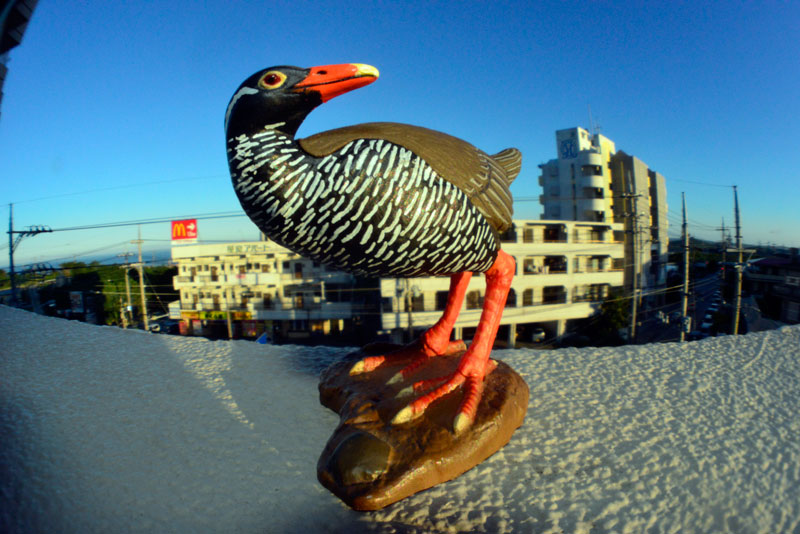虫の眼レンズテスト
