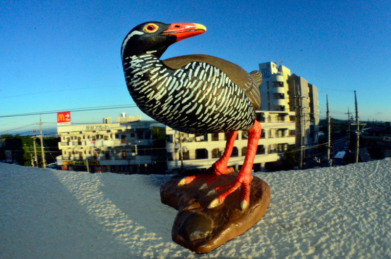 虫の眼レンズテスト