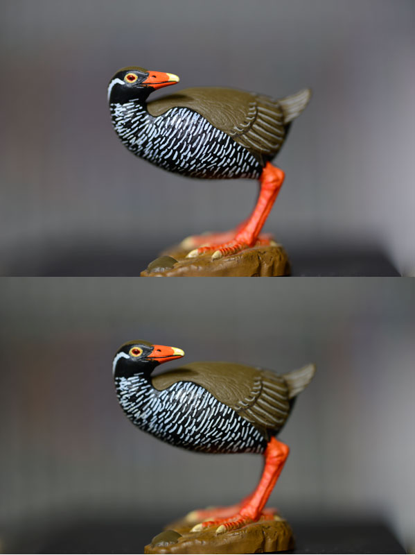 180mmマクロ開放比較