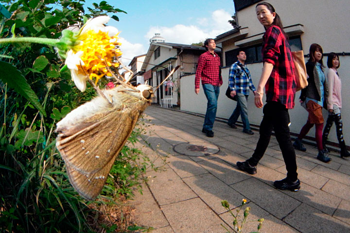 リコーGRブログオフ会撮影会