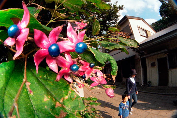 リコーGRブログオフ会撮影会