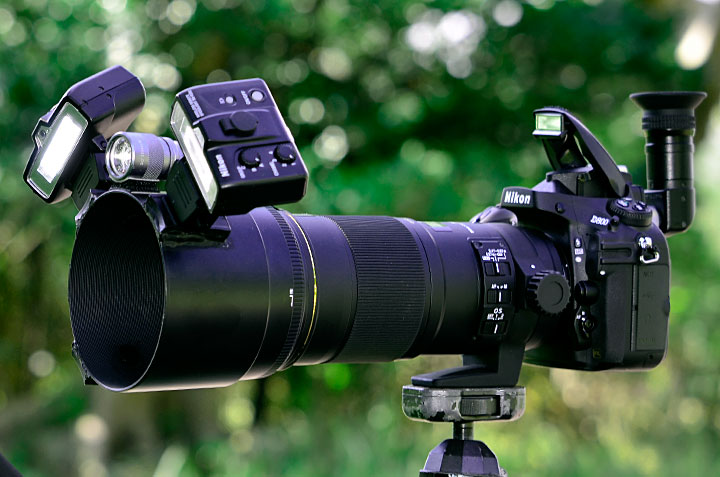 ニコンD800＋シグマ180mmF2.8