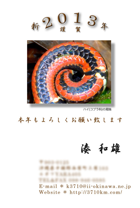 2013年年賀状