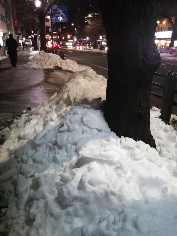 都心の積雪