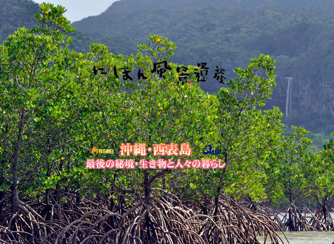 にほん風景遺産・西表島編