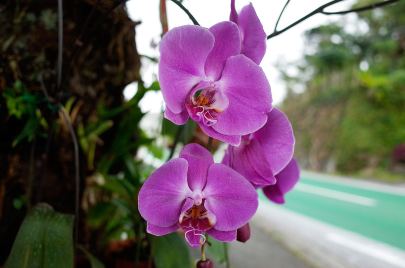 被写界深度比較１