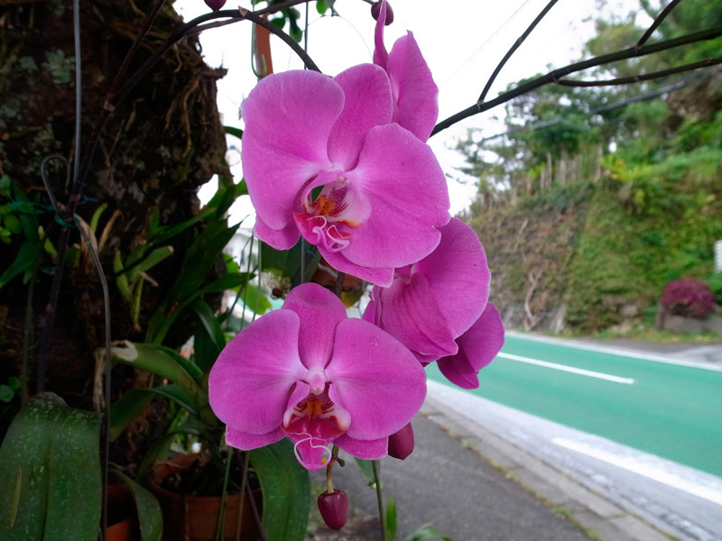 被写界深度比較２