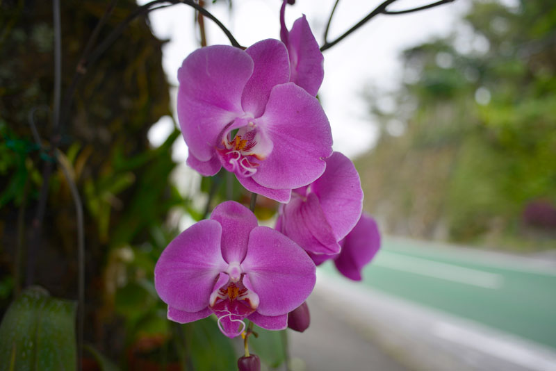 被写界深度比較5