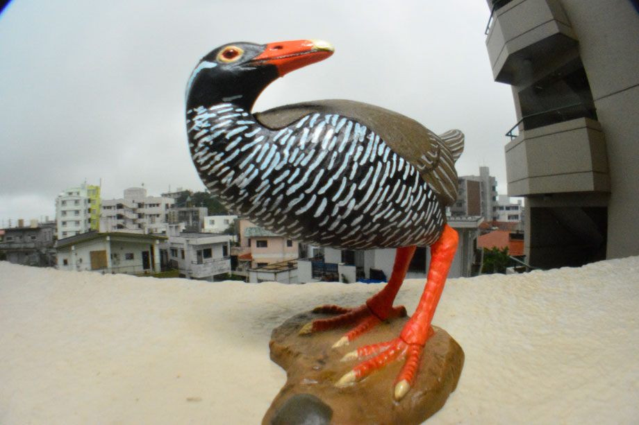 G1.9虫の眼レンズテスト撮影