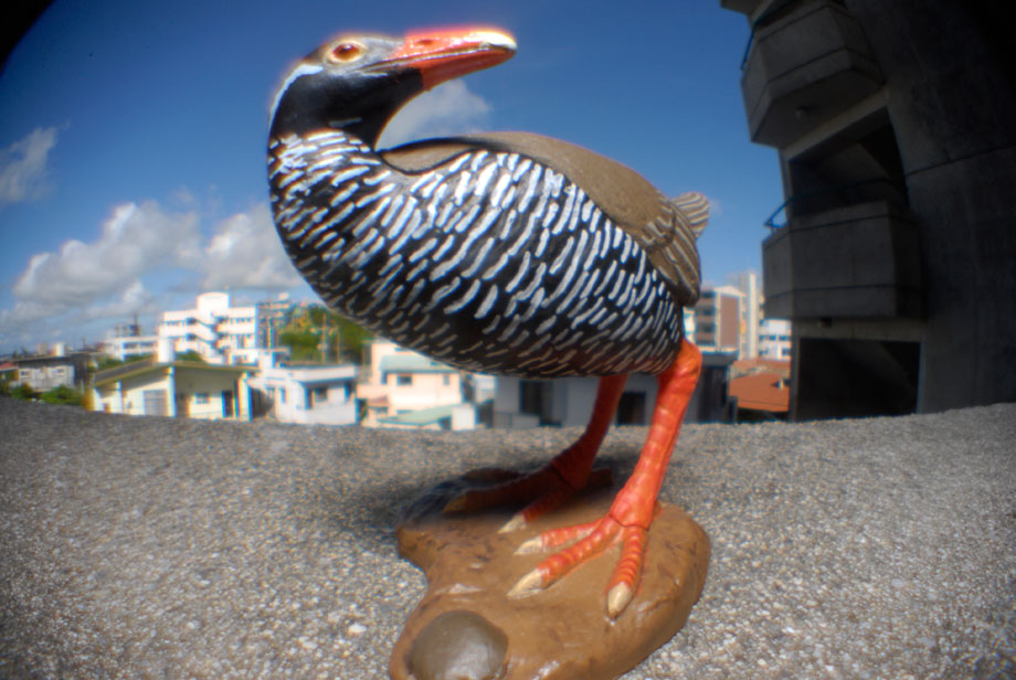 G1.9虫の眼レンズテスト撮影(2006年7月20日撮影）