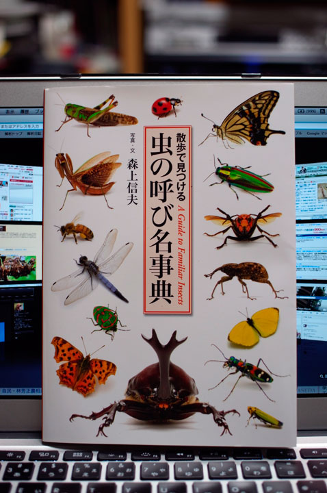 『虫の呼び名事典』