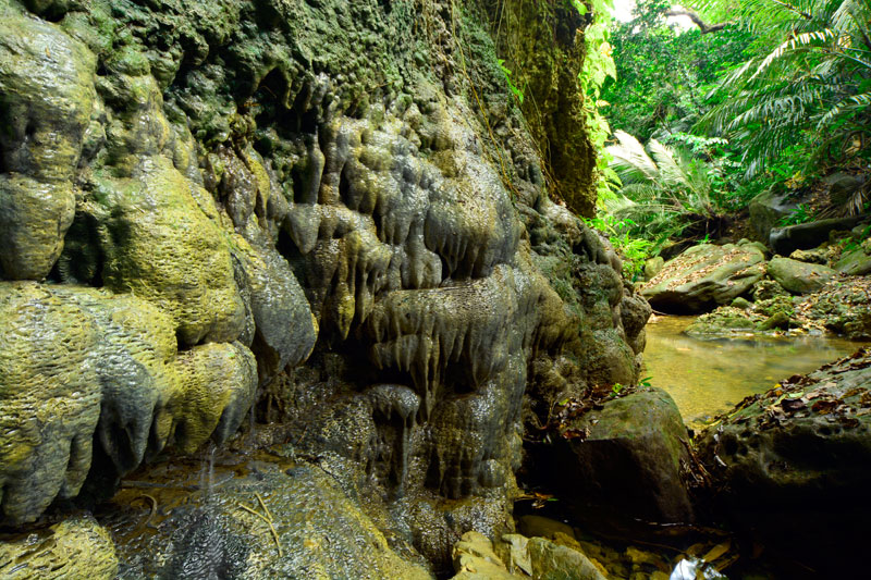 アンガイミドゥチ