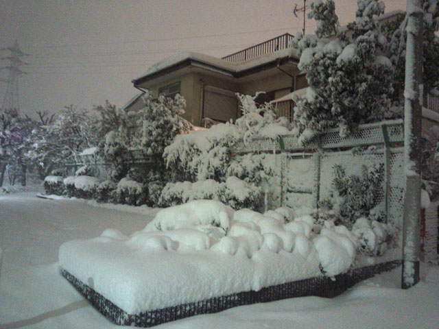 大雪