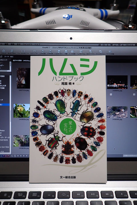 ハムシハンドブック