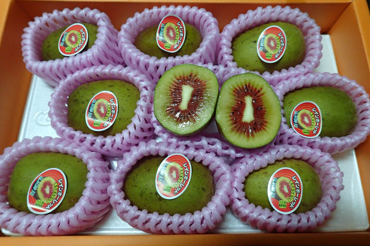 レインボーレッドキウイ