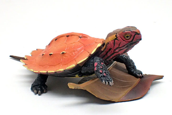 リュウキュウヤマガメ（幼体）フィギュア