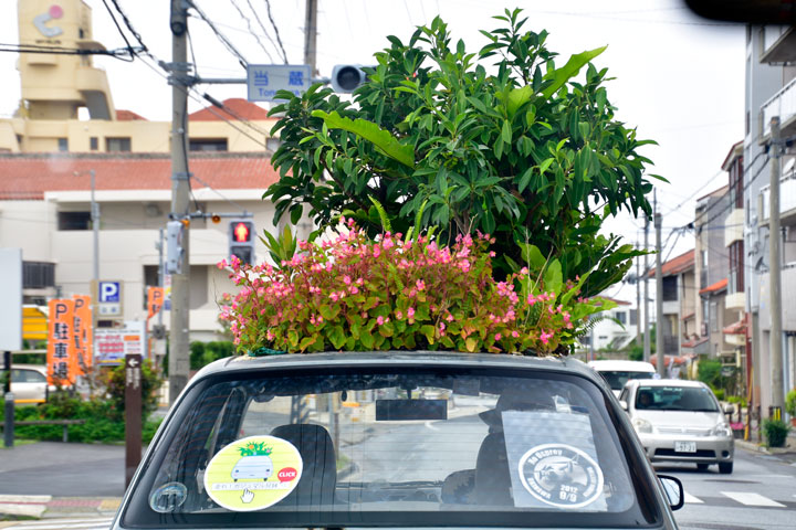 車上庭園