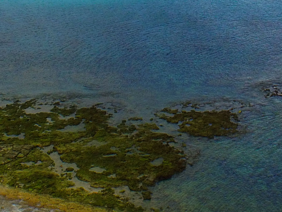 空撮テスト撮影(ピクセル等倍) 空撮テスト撮影(ピクセル等倍)