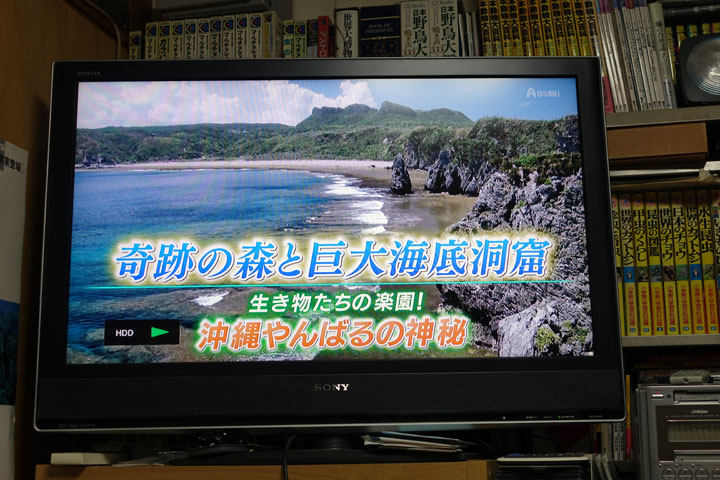 奇跡の地球紀行