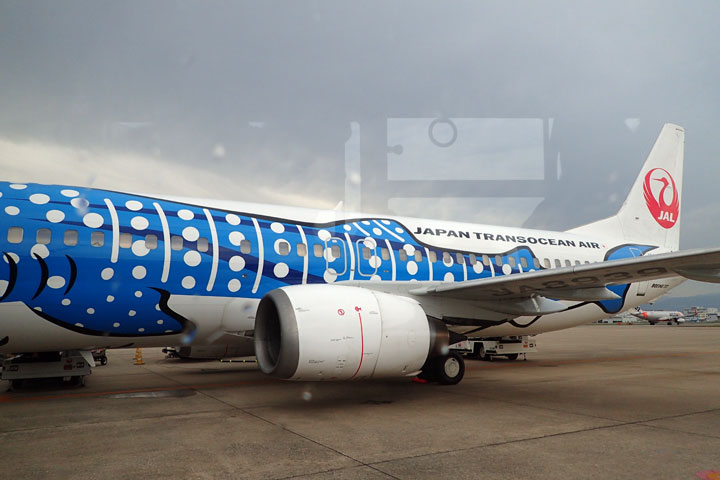 ジンベイジェット