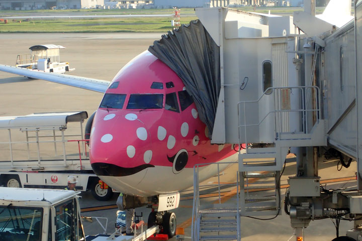 ジンベイジェット