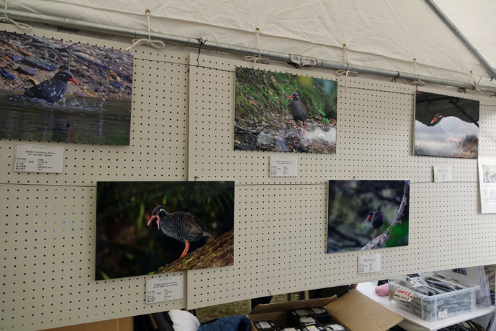 バードフェスタ・シグマブース バードフェスタ・シグマブース