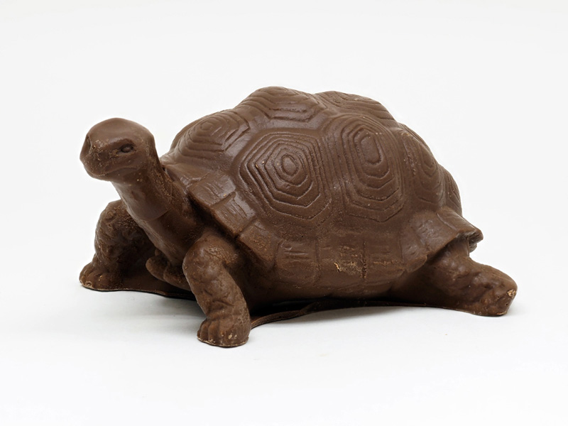 ゾウガメチョコ