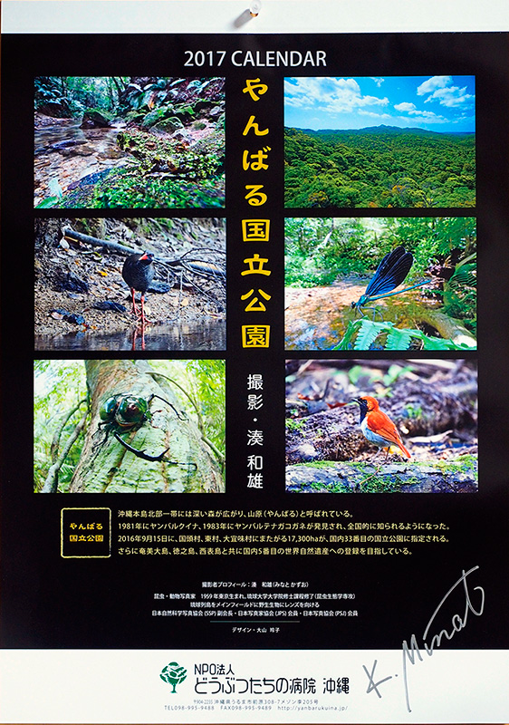 2017年カレンダー