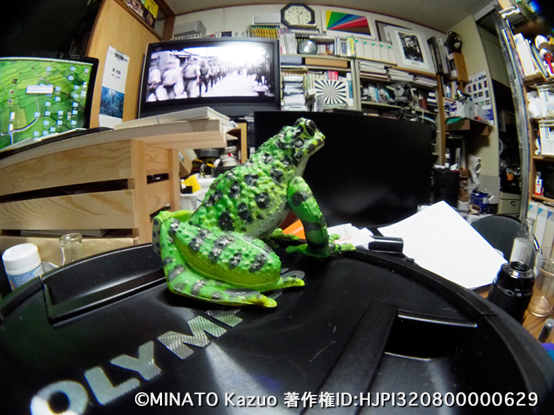 魚露目テスト撮影