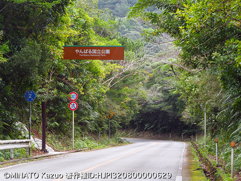 やんばる国立公園