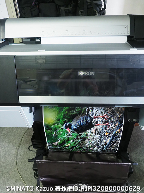 A1+インクジェットプリンター